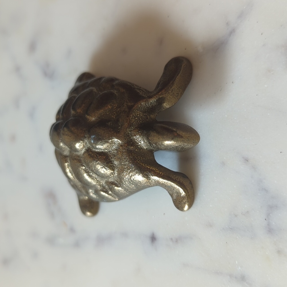 Brass tortoise - Picture 6 of 10